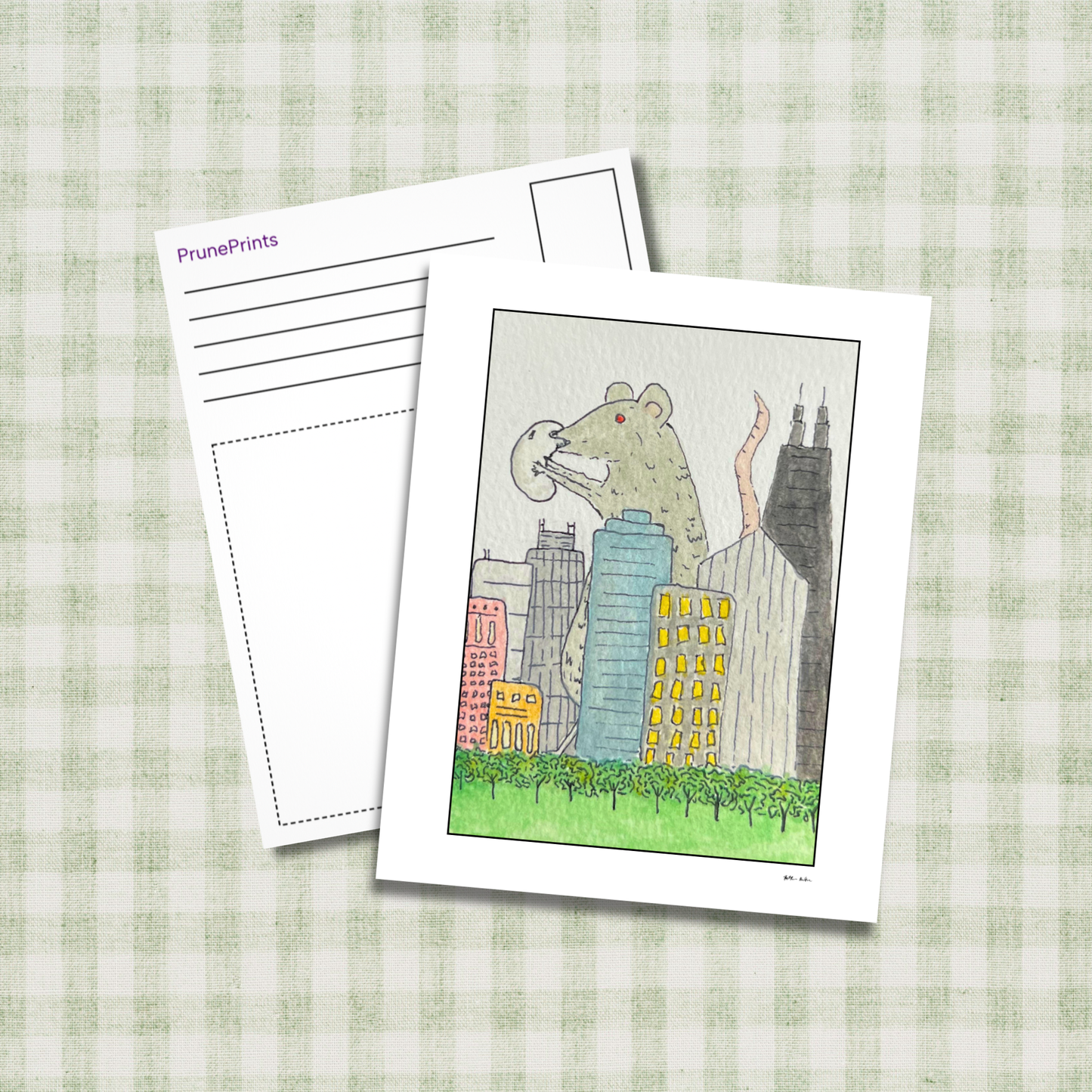 Chicago Rat Eating Bean Postcard