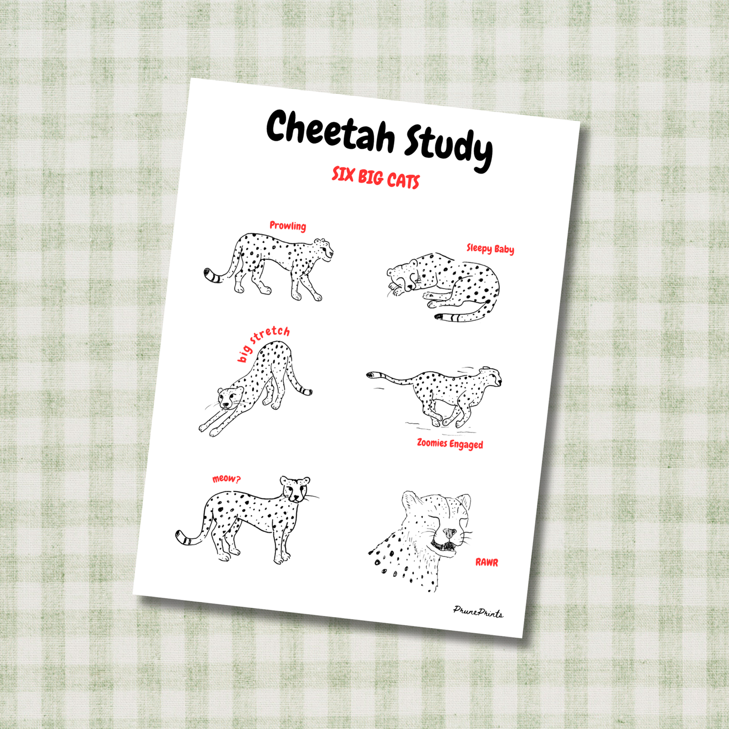 Cheetah Study Print