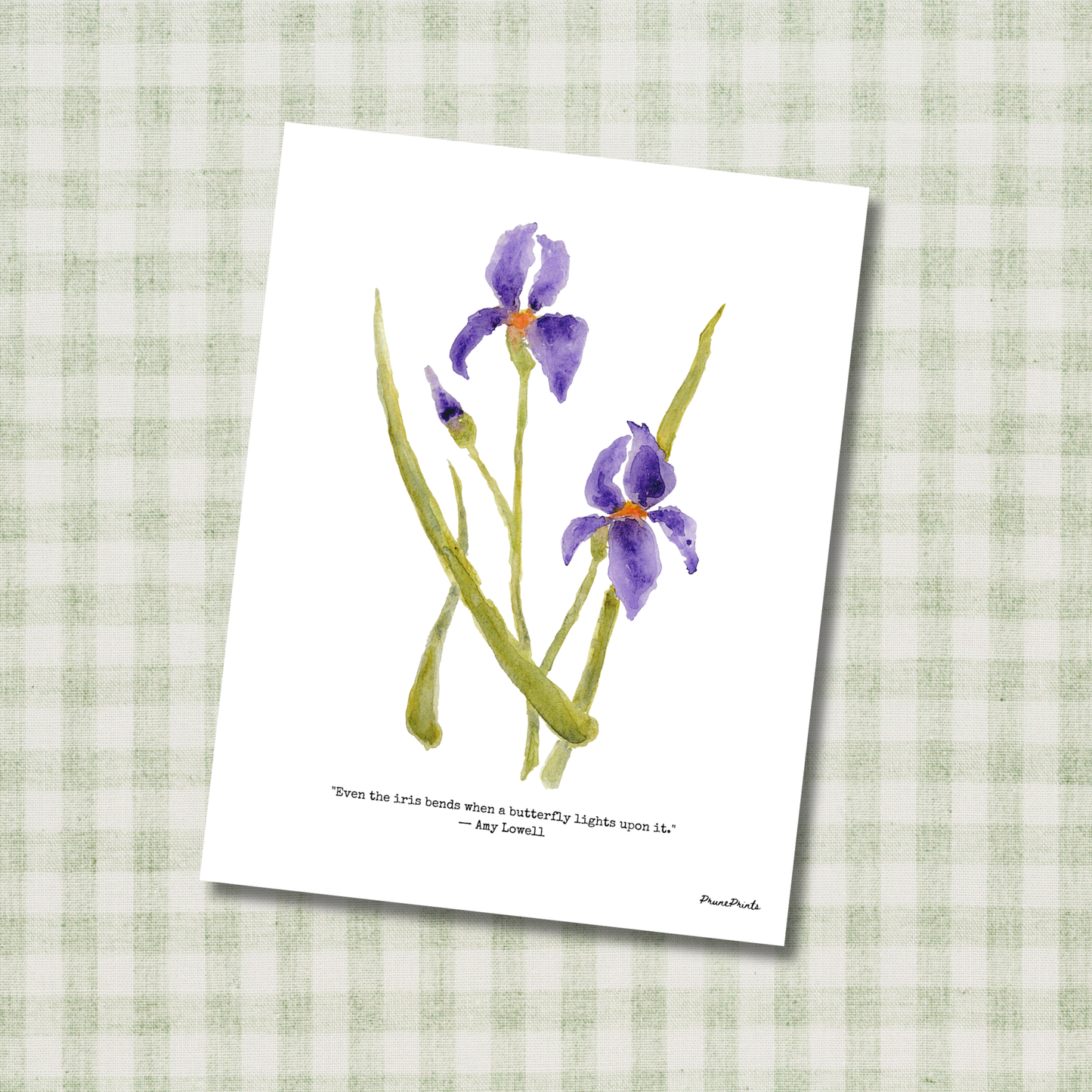 Purple Iris Watercolor Print