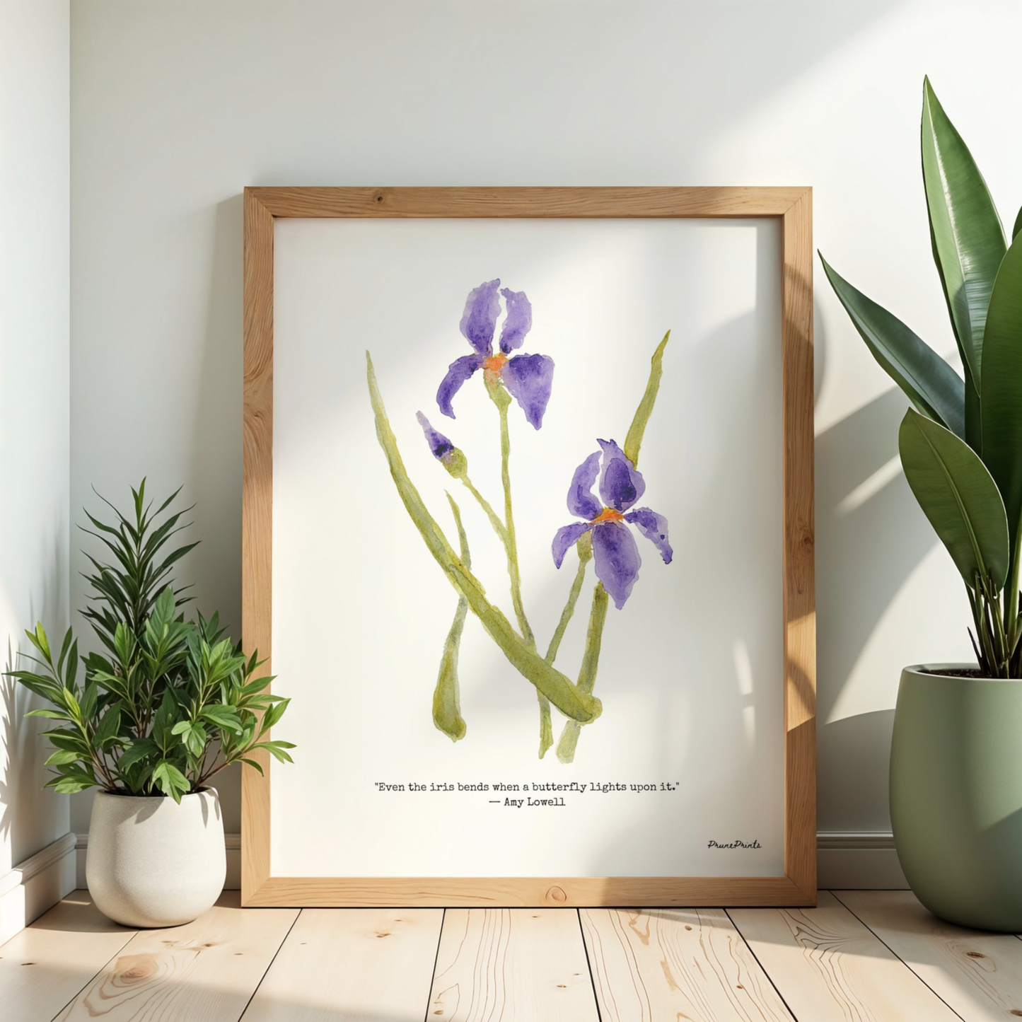 Purple Iris Watercolor Print